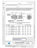 SAE AS21923 Revision C